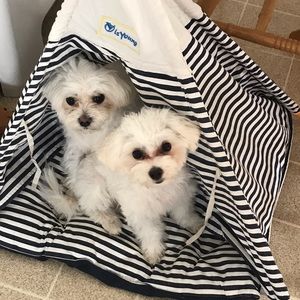 Meet your Posher, Diana